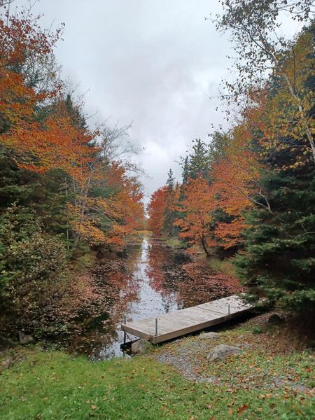 A beautiful canal flanked by fall foliage: red and orange pine trees 