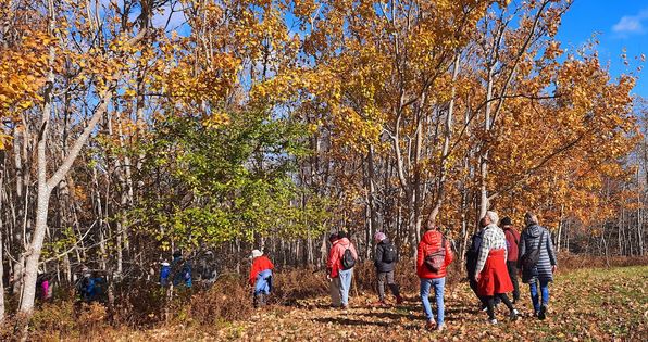 Walking group in Nova Scotia enjoying the fall foliage 